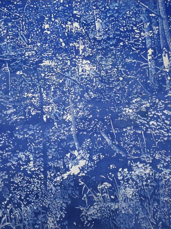 FG Blauer Sommer 2020