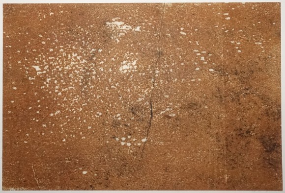 Franz Gertsch Farbprobe undatiert Farbholzschnitt auf Kumohadamashi Japanpapier von Heizaburo Iwano 10.6 x 15.7 cm braun Franz Gertsch