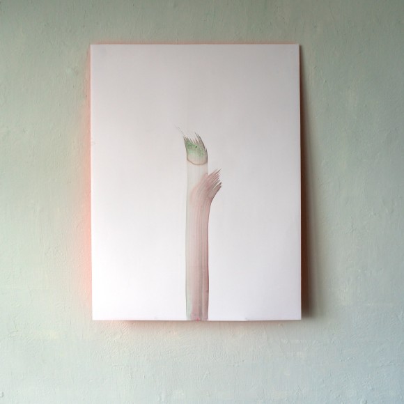 MG Dschungelergaenzungen 2021 2