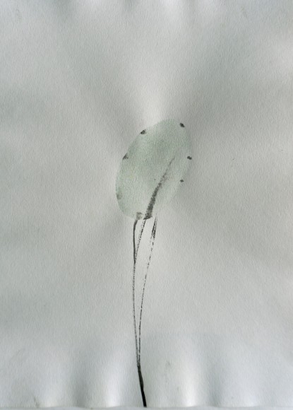 MG Dschungelergaenzungen 2021 3