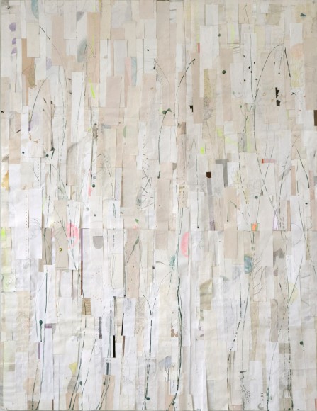 MG Dschungelergaenzungen 2021 4