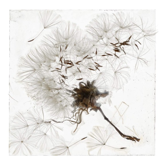 BL Brigitte Lustenberger AN APPARITION OF MEMORY