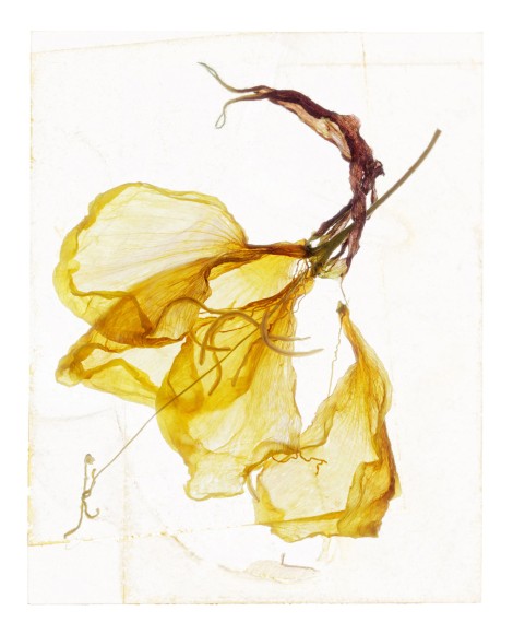 BL Brigitte Lustenberger I CAN HEAR THE DEEP RASP OF YOUR LAUGHTER