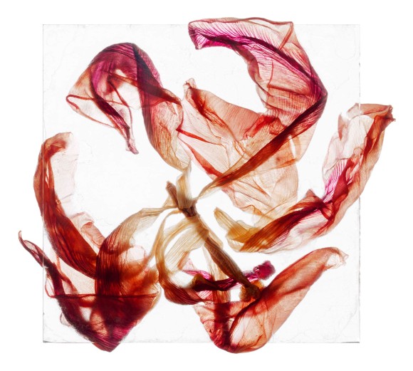 BL Brigitte Lustenberger I WAS LOST IN THE WILDERNESS OF MY MIND