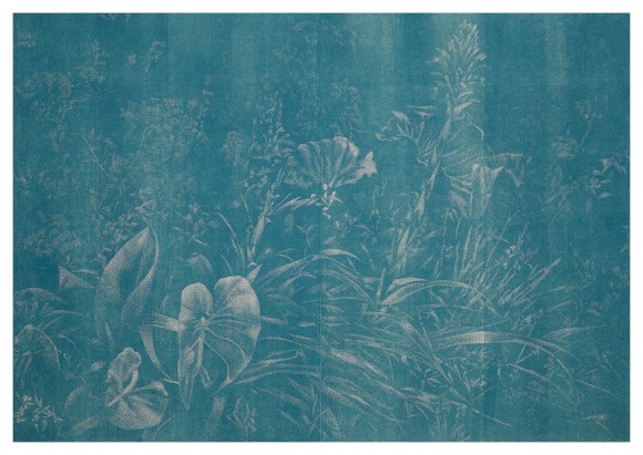 Bromelia 2015 Vorderseite