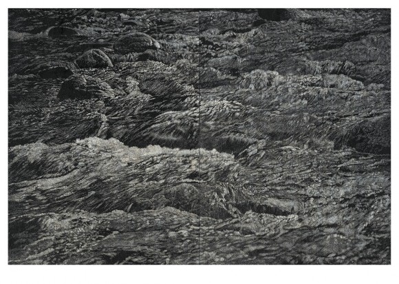 Franz Gertsch Karten A6 Diptychon Schwarzwasser 1995