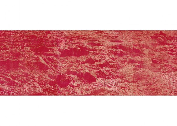 Franz Gertsch Karten A6 Schwarzwasser II 199394