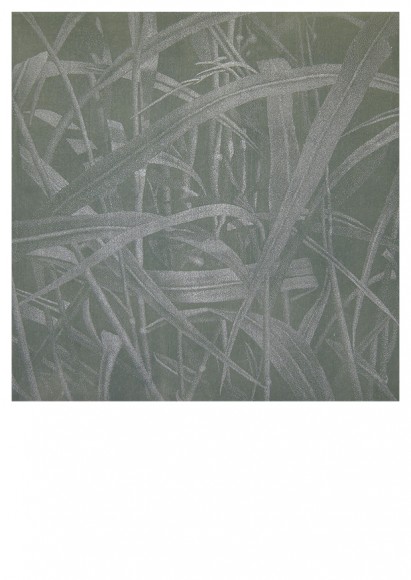 Graeser II 2004 Vorderseite